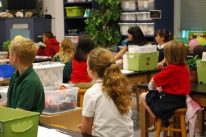 medicina-preventiva-em-escolas